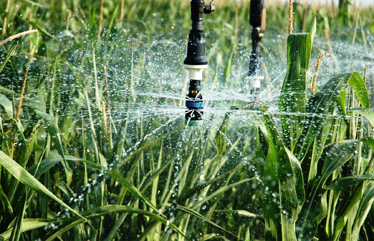 último caso de la compañía sobre Sistema de irrigación inteligente del césped urbano